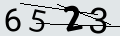 verifycode